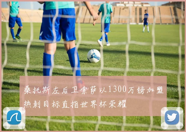 桑托斯左后卫索萨以1300万镑加盟热刺目标直指世界杯荣耀